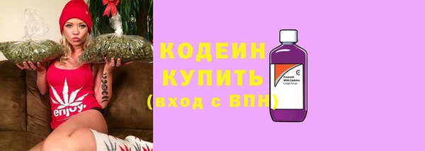 ECSTASY Кукмор