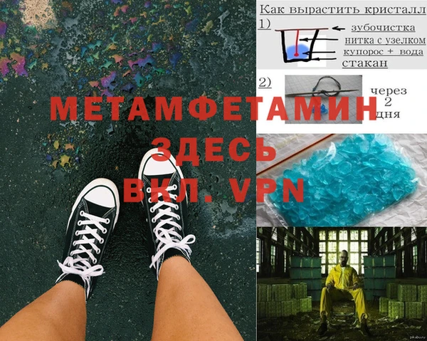 прущие грибы Куйбышев