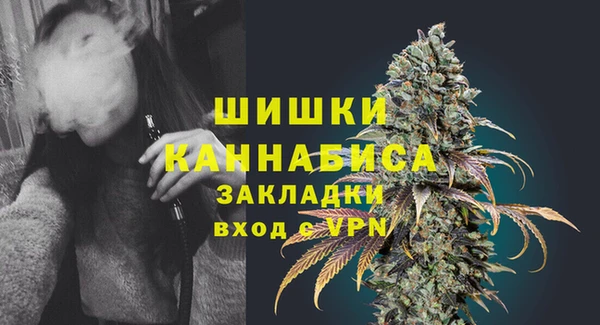 ECSTASY Кукмор
