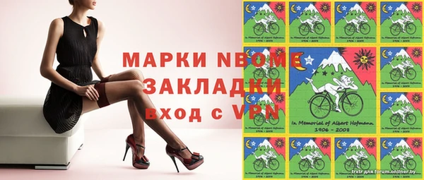 прущие грибы Куйбышев