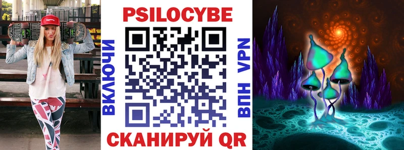 OMG tor  Медвежьегорск  Псилоцибиновые грибы мухоморы  наркота 